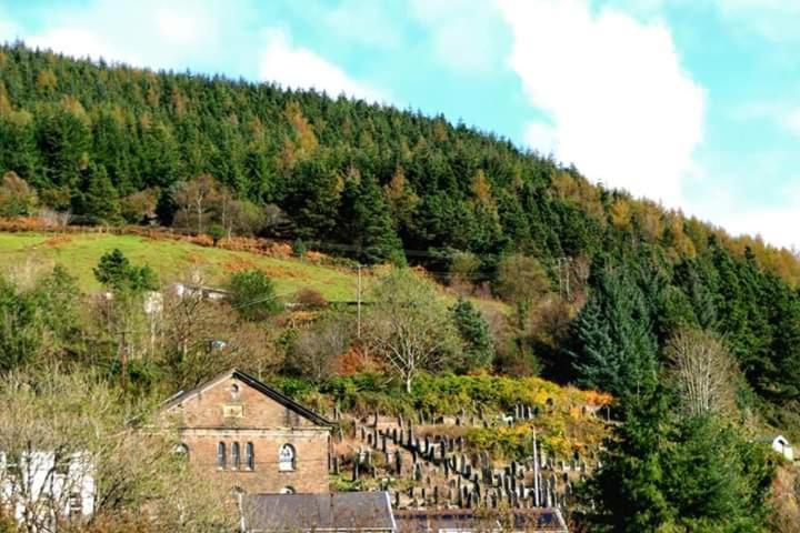 Selah Cottage, 21 Queen Street Pontrhydyfen Δωμάτιο φωτογραφία
