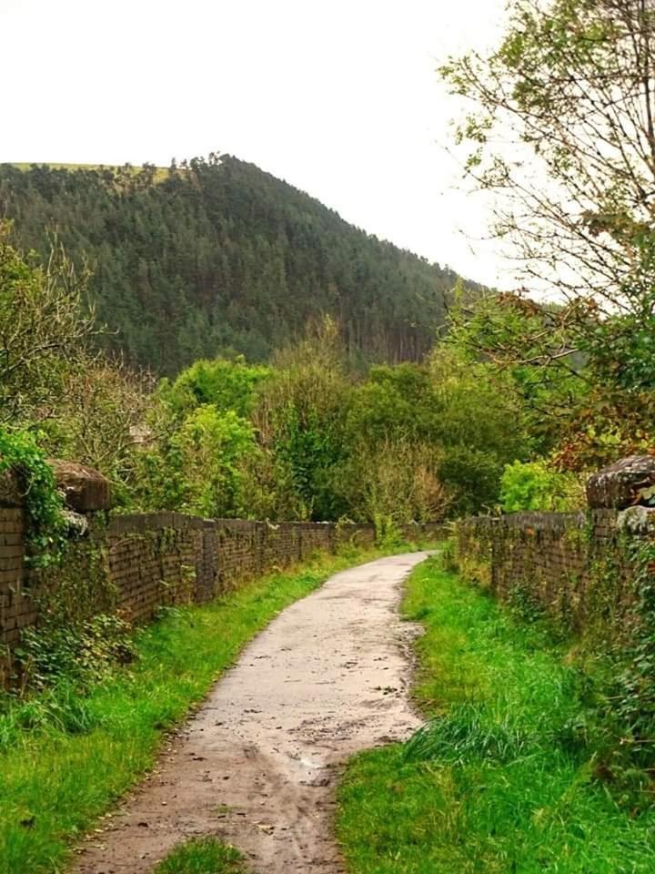 Selah Cottage, 21 Queen Street Pontrhydyfen Δωμάτιο φωτογραφία