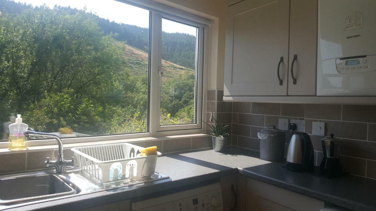 Selah Cottage, 21 Queen Street Pontrhydyfen Εξωτερικό φωτογραφία